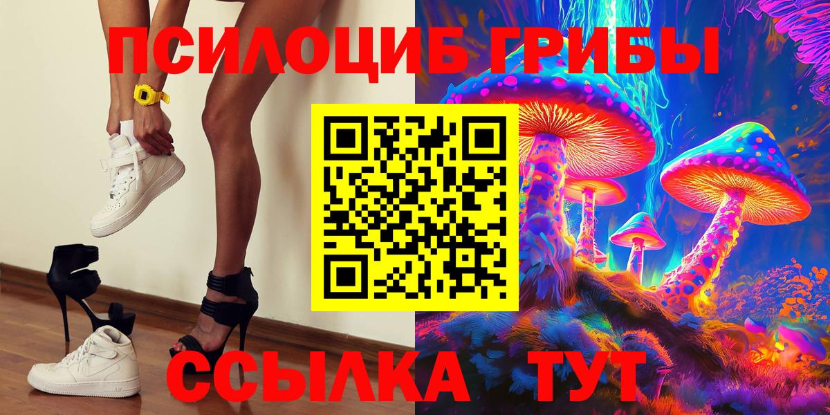 Галлюциногенные грибы Psilocybe Пугачёв