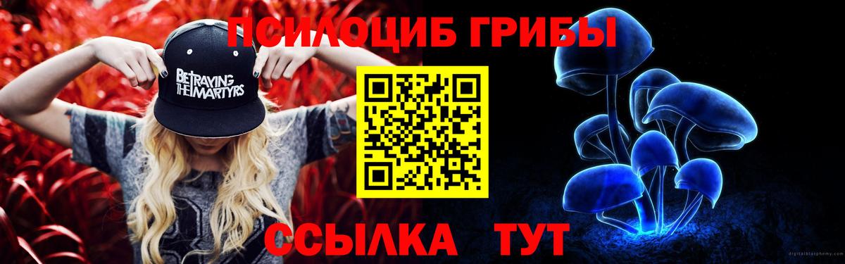 Галлюциногенные грибы GOLDEN TEACHER  Галлюциногенные грибы Psilocybine cubensis  Пугачёв  Вход с VPN 